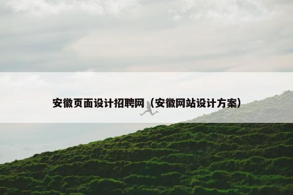 安徽页面设计招聘网（安徽网站设计方案）
