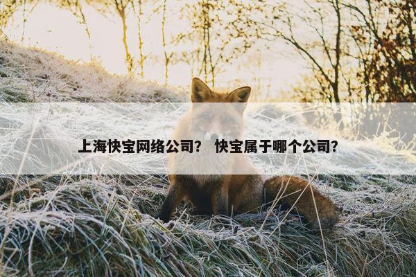 上海快宝网络公司？ 快宝属于哪个公司？