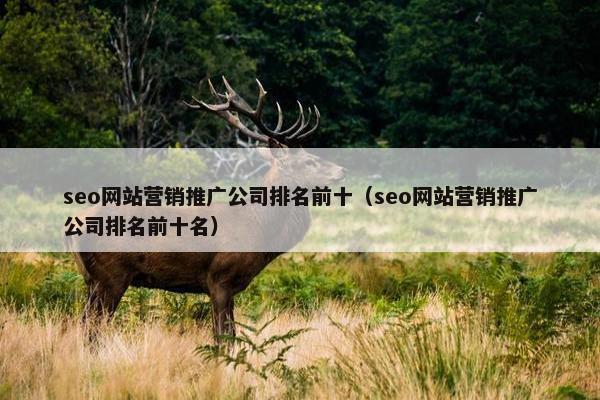 seo网站营销推广公司排名前十（seo网站营销推广公司排名前十名）