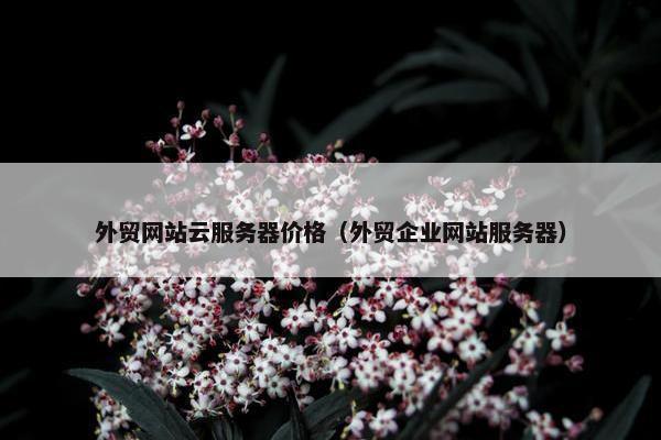 外贸网站云服务器价格（外贸企业网站服务器）