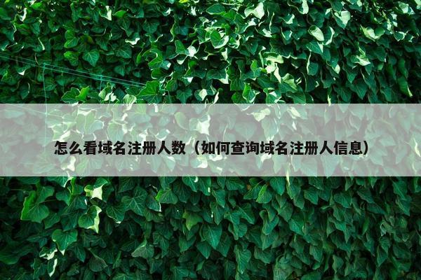 怎么看域名注册人数（如何查询域名注册人信息）