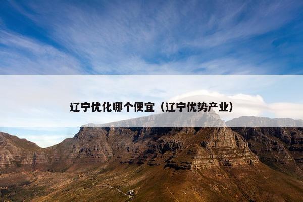 辽宁优化哪个便宜（辽宁优势产业）