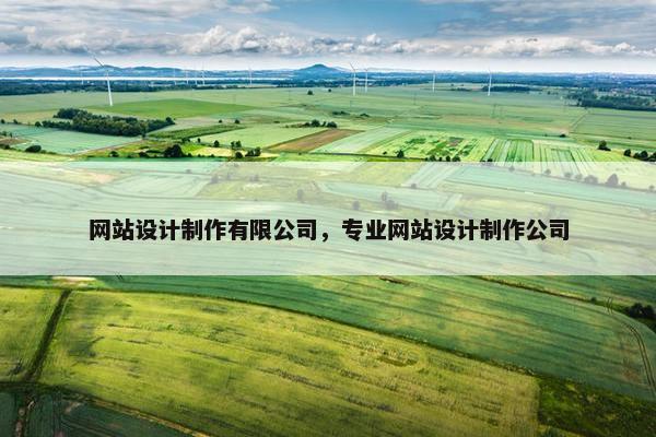 网站设计制作有限公司，专业网站设计制作公司