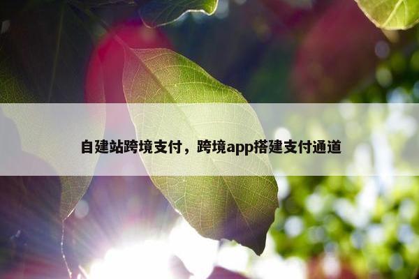 自建站跨境支付，跨境app搭建支付通道