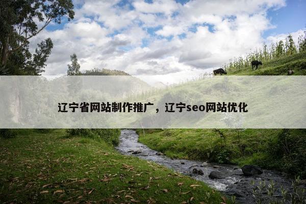 辽宁省网站制作推广，辽宁seo网站优化