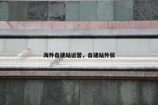 海外自建站运营，自建站外贸