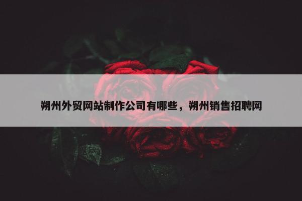 朔州外贸网站制作公司有哪些，朔州销售招聘网
