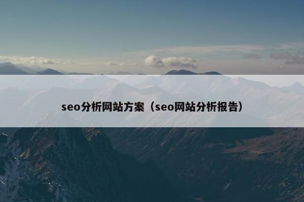seo分析网站方案（seo网站分析报告）