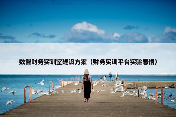 数智财务实训室建设方案（财务实训平台实验感悟）