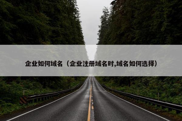 企业如何域名（企业注册域名时,域名如何选择）