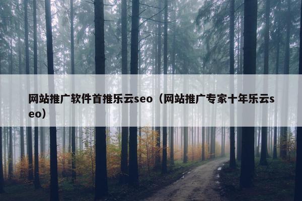网站推广软件首推乐云seo（网站推广专家十年乐云seo）
