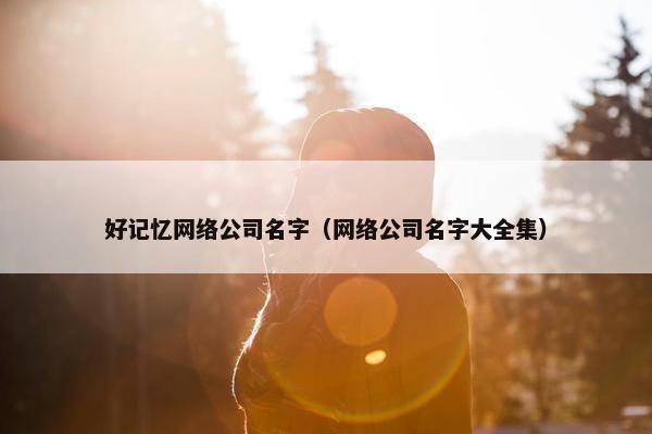 好记忆网络公司名字（网络公司名字大全集）