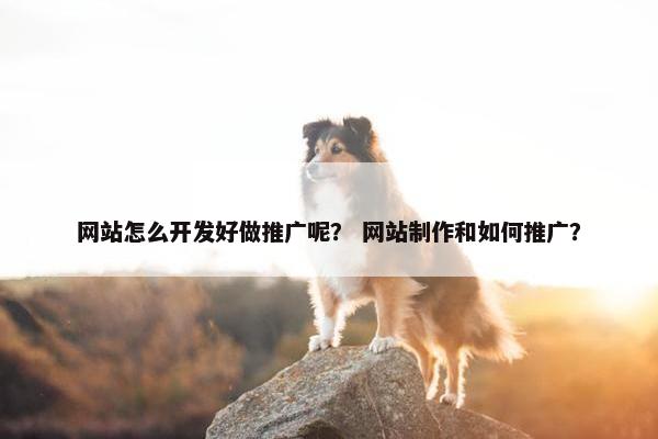 网站怎么开发好做推广呢？ 网站制作和如何推广？