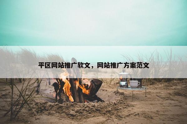 平区网站推广软文，网站推广方案范文