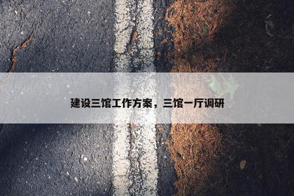 建设三馆工作方案，三馆一厅调研