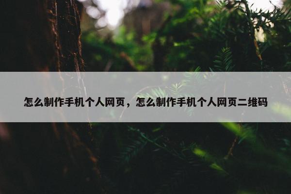 怎么制作手机个人网页，怎么制作手机个人网页二维码