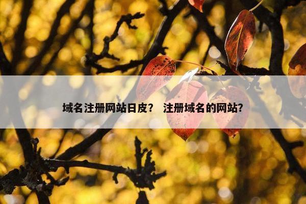 域名注册网站日皮？ 注册域名的网站？