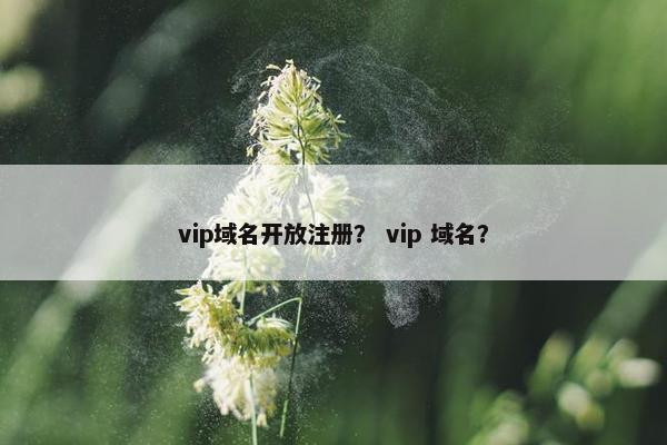 vip域名开放注册？ vip 域名？