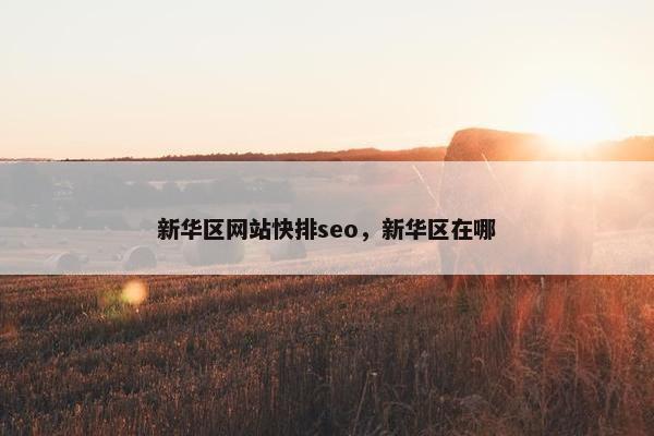 新华区网站快排seo，新华区在哪