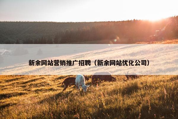新余网站营销推广招聘（新余网站优化公司）