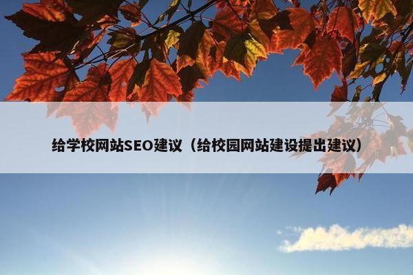 给学校网站SEO建议（给校园网站建设提出建议）