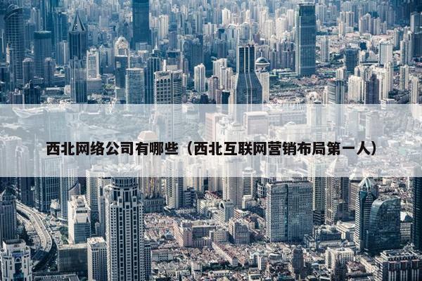 西北网络公司有哪些（西北互联网营销布局第一人）