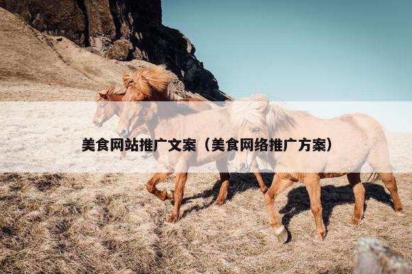 美食网站推广文案（美食网络推广方案）
