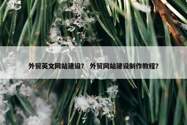 外贸英文网站建设？ 外贸网站建设制作教程？