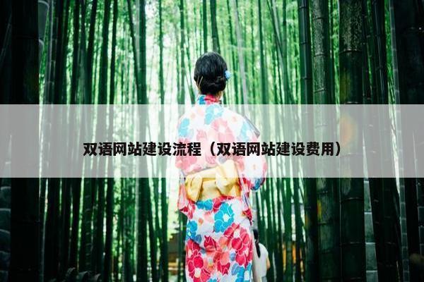 双语网站建设流程（双语网站建设费用）