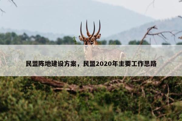 民盟阵地建设方案，民盟2020年主要工作思路