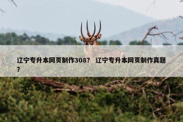 辽宁专升本网页制作308？ 辽宁专升本网页制作真题？