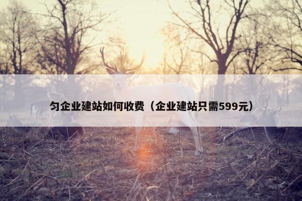 匀企业建站如何收费（企业建站只需599元）