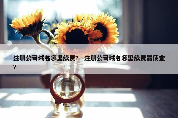 注册公司域名哪里续费？ 注册公司域名哪里续费最便宜？