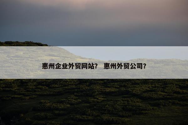 惠州企业外贸网站？ 惠州外贸公司？