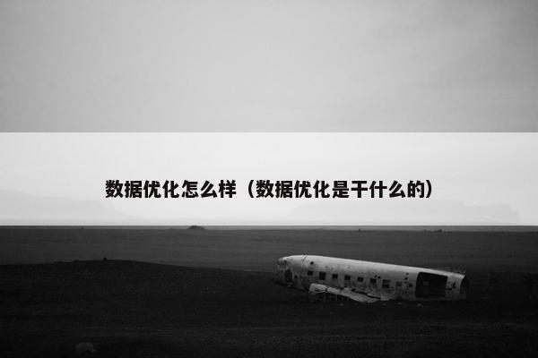 数据优化怎么样（数据优化是干什么的）