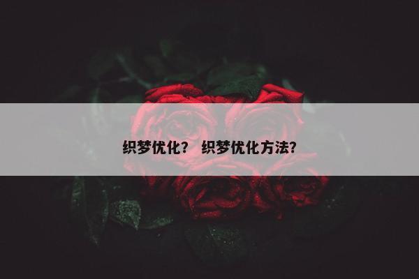 织梦优化？ 织梦优化方法？