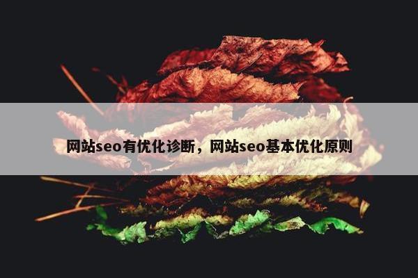 网站seo有优化诊断，网站seo基本优化原则
