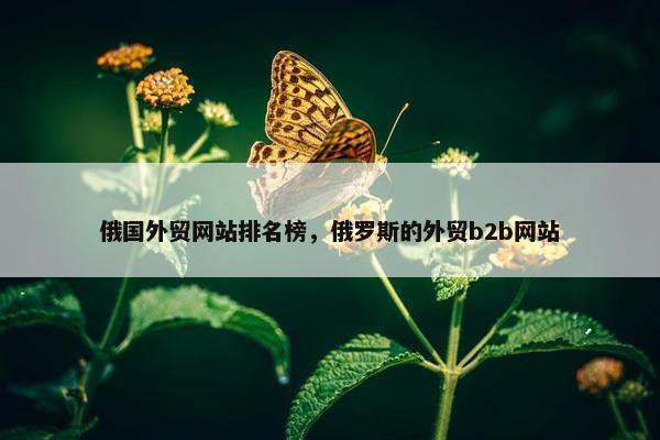 俄国外贸网站排名榜，俄罗斯的外贸b2b网站