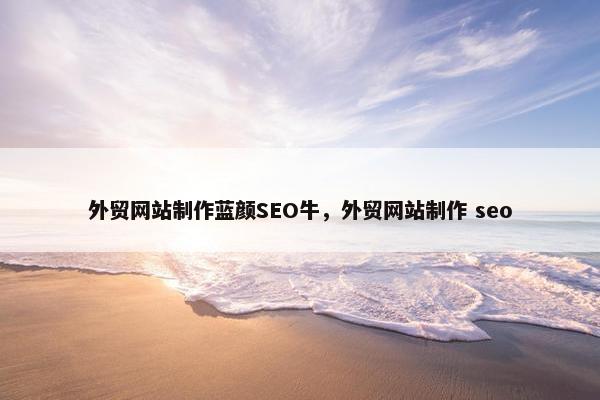外贸网站制作蓝颜SEO牛，外贸网站制作 seo