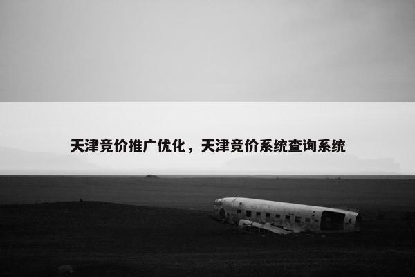 天津竞价推广优化，天津竞价系统查询系统