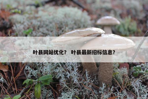 叶县网站优化？ 叶县最新招标信息？