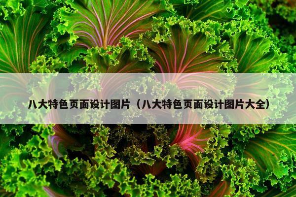 八大特色页面设计图片（八大特色页面设计图片大全）
