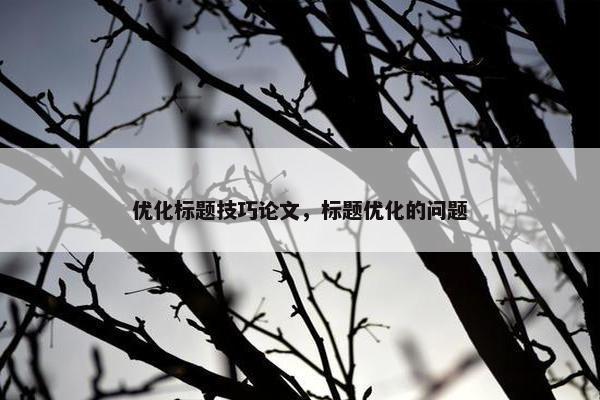 优化标题技巧论文，标题优化的问题