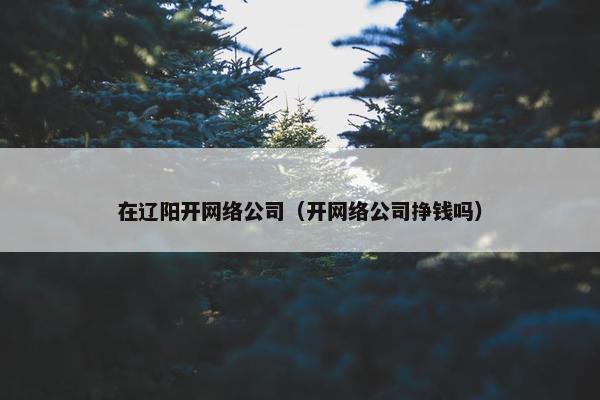 在辽阳开网络公司（开网络公司挣钱吗）