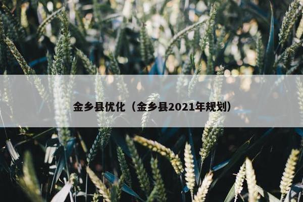 金乡县优化（金乡县2021年规划）
