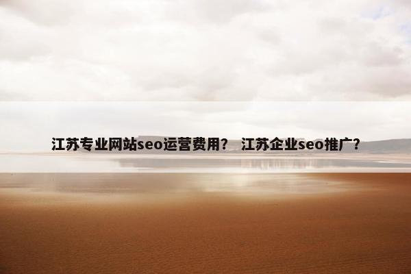 江苏专业网站seo运营费用？ 江苏企业seo推广？