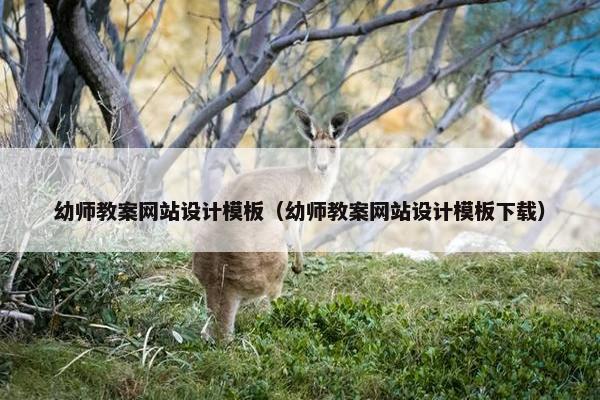 幼师教案网站设计模板（幼师教案网站设计模板下载）