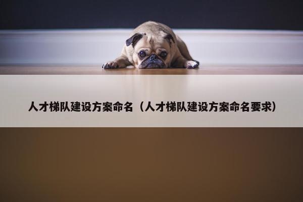 人才梯队建设方案命名（人才梯队建设方案命名要求）