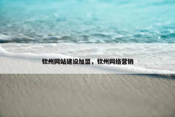 钦州网站建设加盟，钦州网络营销