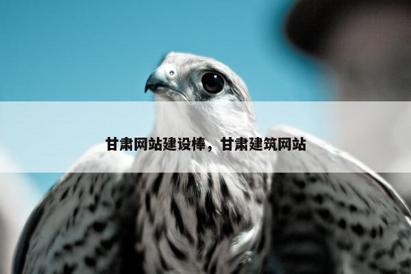 甘肃网站建设棒，甘肃建筑网站